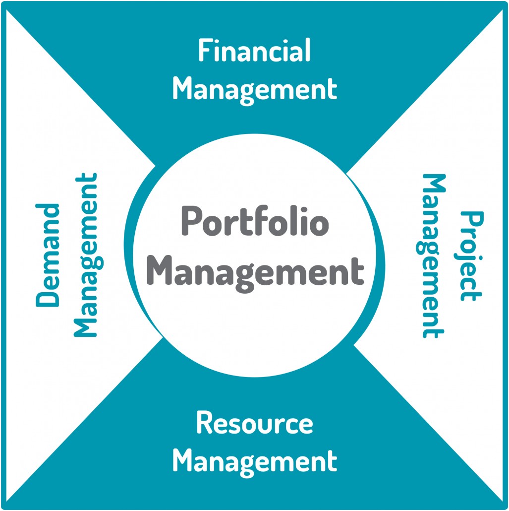 PMO Quick Maturity Assessment - Mariner PPM