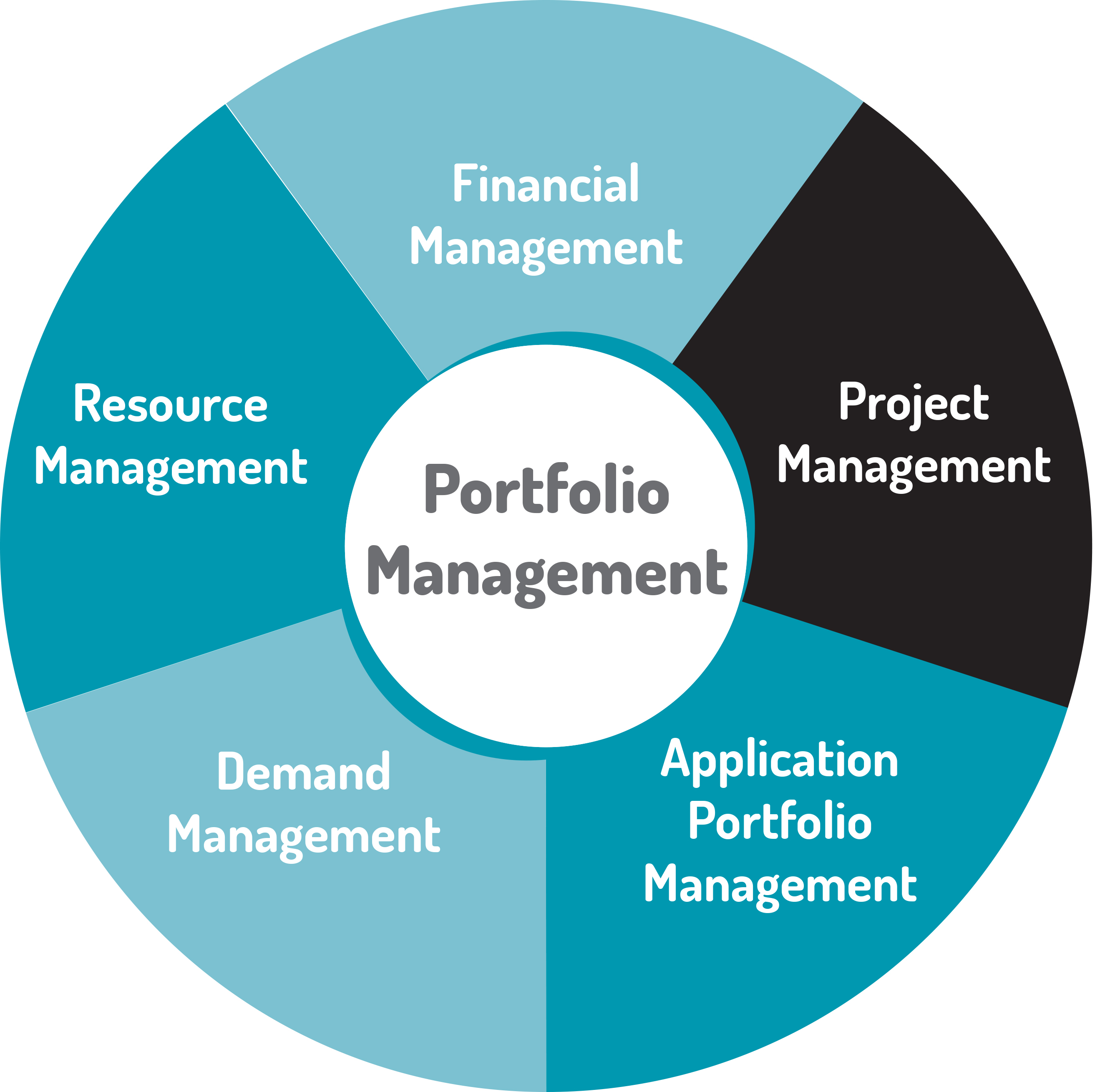 Project and portfolio management